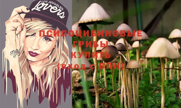 apvp Белокуриха