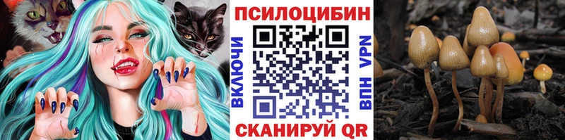 Псилоцибиновые грибы мухоморы  даркнет сайт  Городище 